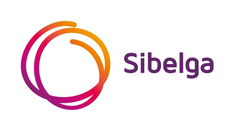 Sibelga - Approach